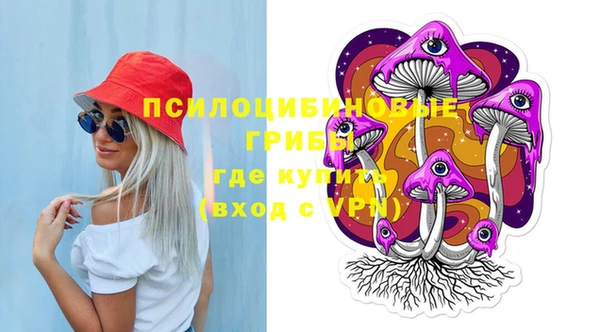 молекула духа Алексеевка