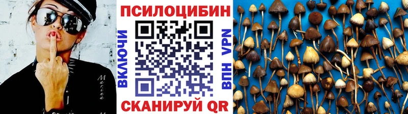 Псилоцибиновые грибы GOLDEN TEACHER  как найти наркотики  Заволжье 